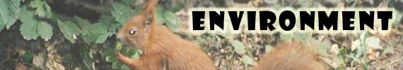 ENVIRONMENT